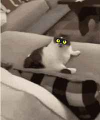 Mask GIF