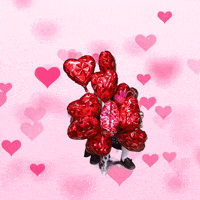 Valentines Day Valentine GIF