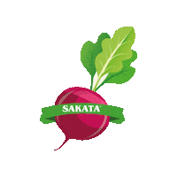 sakatamexico sakata sakatamexico sakataméxico Sticker