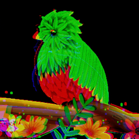 yuemagui giphygifmaker flores ilustracion aves GIF