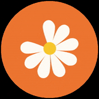 subtitlebee flower bee petals GIF