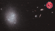 Stars Glitter GIF by ESA/Hubble Space Telescope