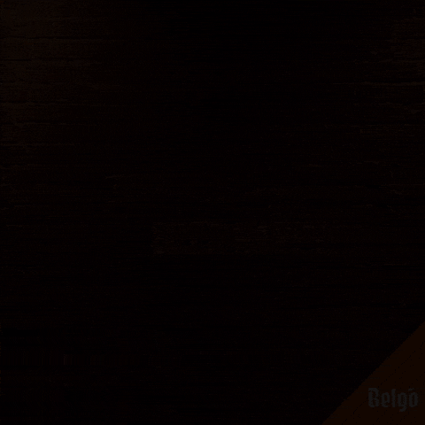 Happy Belgian Beer GIF by Belgo Belgian Craft Beer Brewery