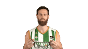 Liga Endesa Basketball Sticker by ACB