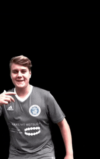Happy Football GIF by Vfb.1919.vacha