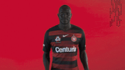 western sydney wanderers football GIF by wswanderersfc