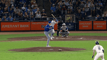 Blue Jays Shrug GIF by Toronto Blue Jays
