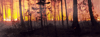 GIF by n12