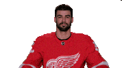 Red Wings Sport Sticker by Detroit Red Wings