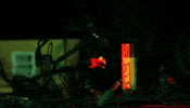 Run Away Stop Motion GIF by Chelsea Rugg