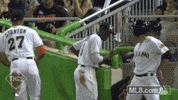 mia GIF by MLB