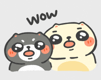 Surprise Wow GIF