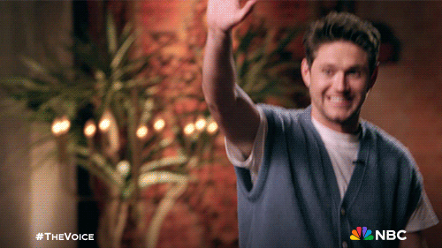 Niall Horan Nbc GIF by The Voice