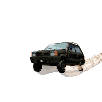Fiat Panda Sticker by Garage Italia