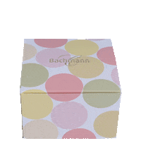 bachmannconfiserie switzerland schweiz macaron kuchen Sticker