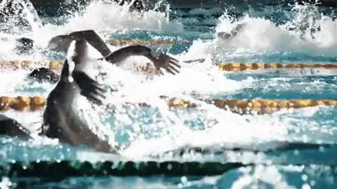 Race Swimming GIF