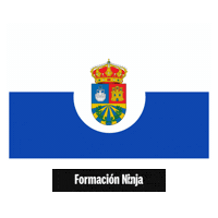Comunidad De Madrid Flag Sticker by Formación Ninja