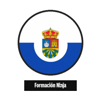 Comunidad De Madrid Flag Sticker by Formación Ninja