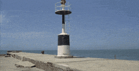 federico fellini c'mon guys itagged this badgif whyyoufeature? GIF by Maudit
