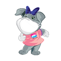 Quarentena Stay Home Sticker by PBF Idiomas