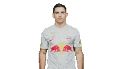 Football Love Sticker by FC Red Bull Salzburg