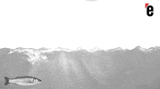 lexpress peche GIF