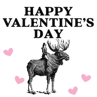 Valentines Day Love Sticker by Archer Roose Wines