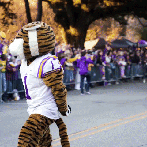 Death Valley Football GIF by LSU Tigers