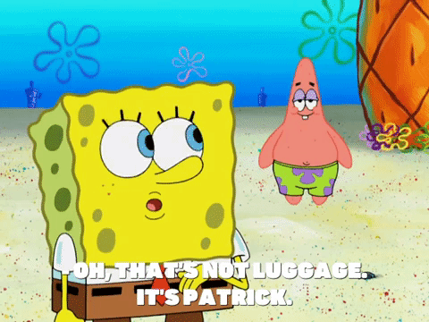 season 8 spongebob's runaway roadtrip: a squarepants family vacation GIF by SpongeBob SquarePants