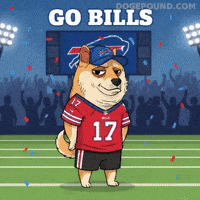 Shiba Inu Football GIF by Doge Pound
