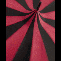 Ellen Page Ew GIF by Entertainment Weekly