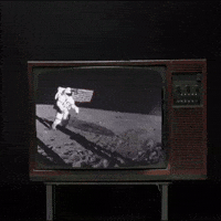 Moon Landing GIF