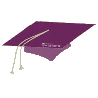 Mortarboard Hellowinch Sticker by University of Winchester