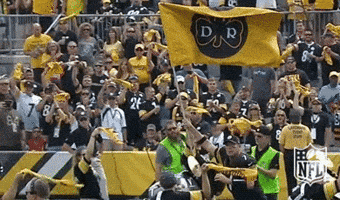 Regular Season Football GIF by NFL