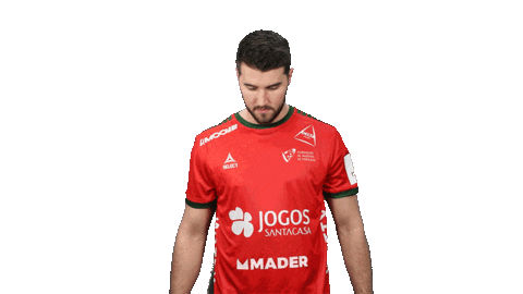 Letsgovamos Sticker by Federação de Andebol de Portugal