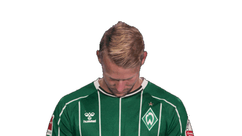 Werder Bremen Sticker by Bundesliga