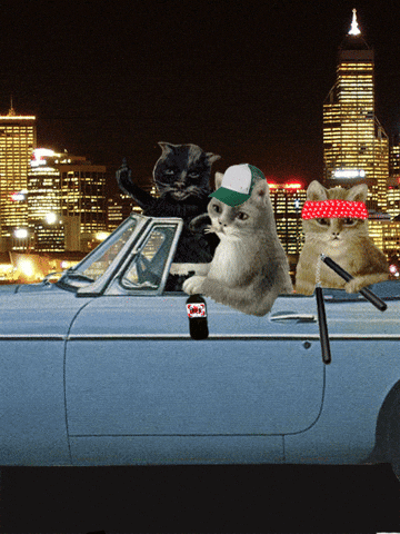 The Streets Cat GIF by Scorpion Dagger
