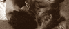 couple love GIF