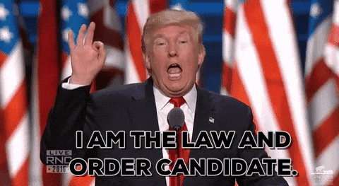 Donald Trump Rnc GIF by Election 2016
