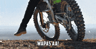 Hrithik Roshan Dew GIF by Mountaindewindia