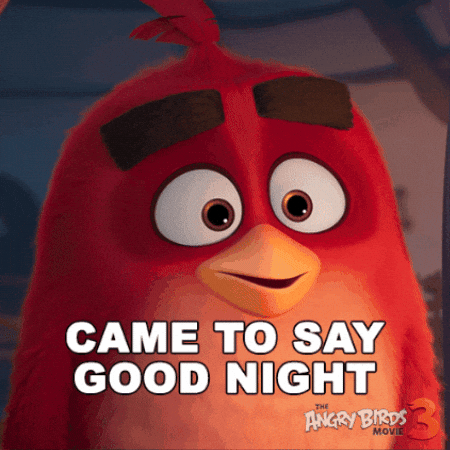 Paramount Pictures GIF by Angry Birds Movie