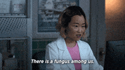 Diana Bang Fungus GIF by Drama Club FOX