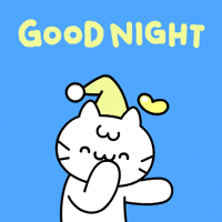 Good Night Cat GIF by Mikitti