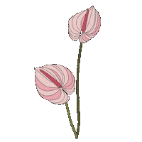 flower love Sticker by HOKK FABRICA