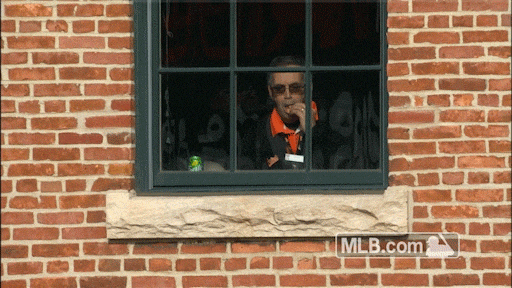 fan eats GIF by MLB