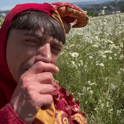 Medioevo GIF by Nespolo Giullare