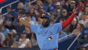 Go Blue Jays GIF by Toronto Blue Jays
