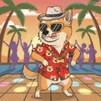 Happy Lets Go GIF by Doge Pound