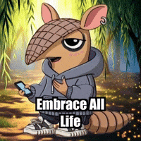 Wisdom Compassion GIF by Chillo Dillo