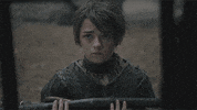 hbo GIF by Game of Thrones